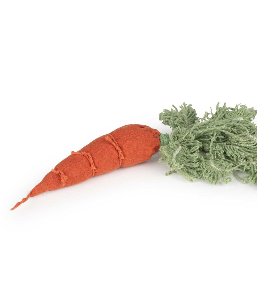 Oli and Carol Kids Sewing Kits - Cathy the Carrot