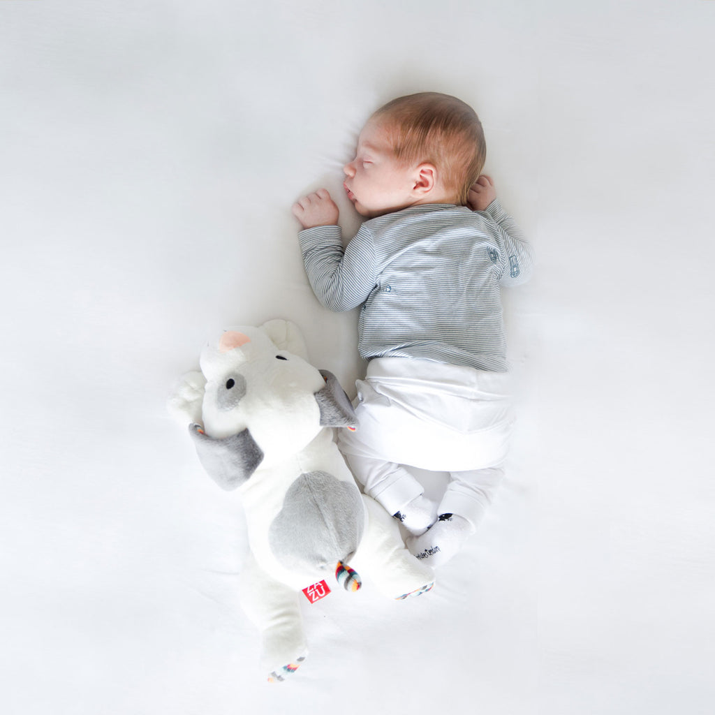 ZAZU Plush Comforter Heartbeat and White Noise Baby Toy  Dex the Dog